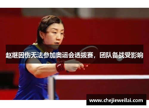 赵继因伤无法参加奥运会选拔赛，团队备战受影响