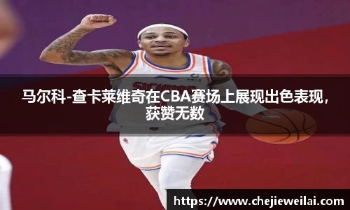 马尔科-查卡莱维奇在CBA赛场上展现出色表现，获赞无数