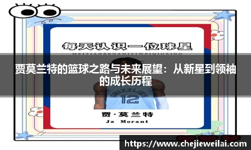 星空·综合体育官方网站