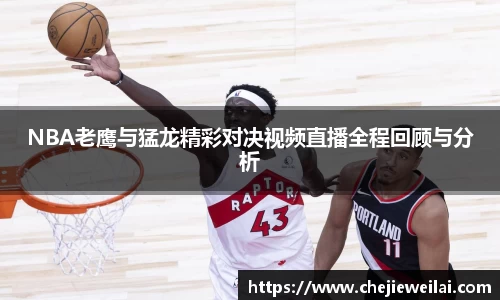 NBA老鹰与猛龙精彩对决视频直播全程回顾与分析