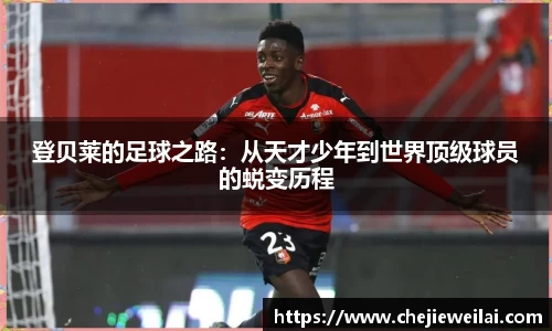 星空·综合体育中国官网