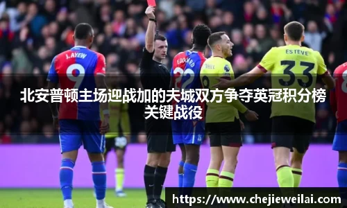 北安普顿主场迎战加的夫城双方争夺英冠积分榜关键战役