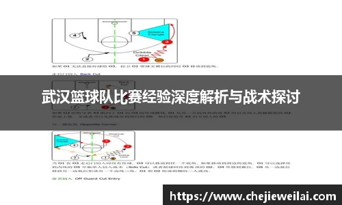 武汉篮球队比赛经验深度解析与战术探讨