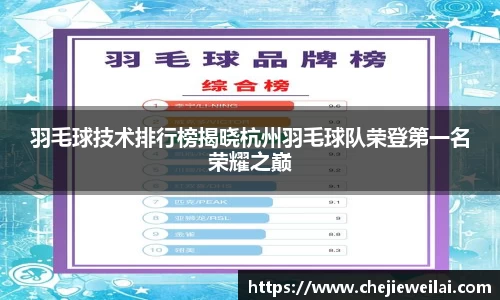 羽毛球技术排行榜揭晓杭州羽毛球队荣登第一名荣耀之巅