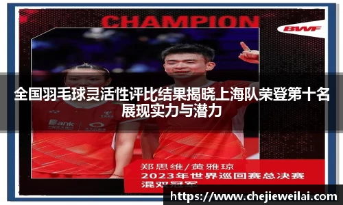 全国羽毛球灵活性评比结果揭晓上海队荣登第十名展现实力与潜力