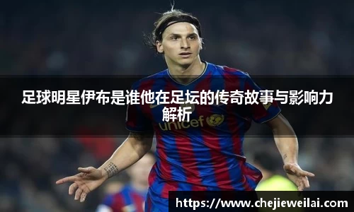 足球明星伊布是谁他在足坛的传奇故事与影响力解析