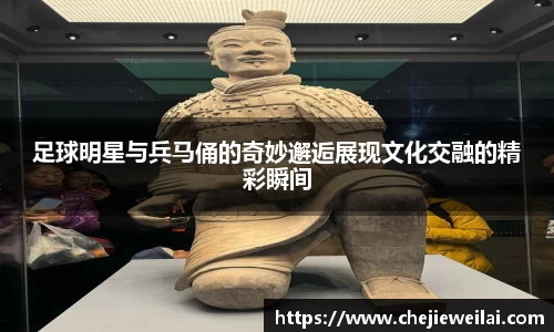 星空·综合体育官方网站