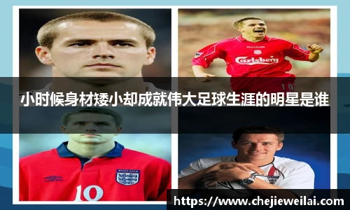 星空·综合体育官方网站