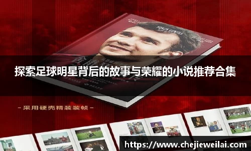 探索足球明星背后的故事与荣耀的小说推荐合集