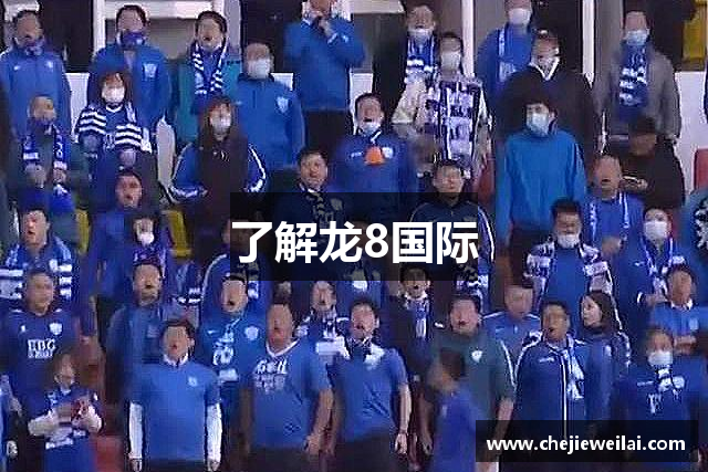 了解龙8国际